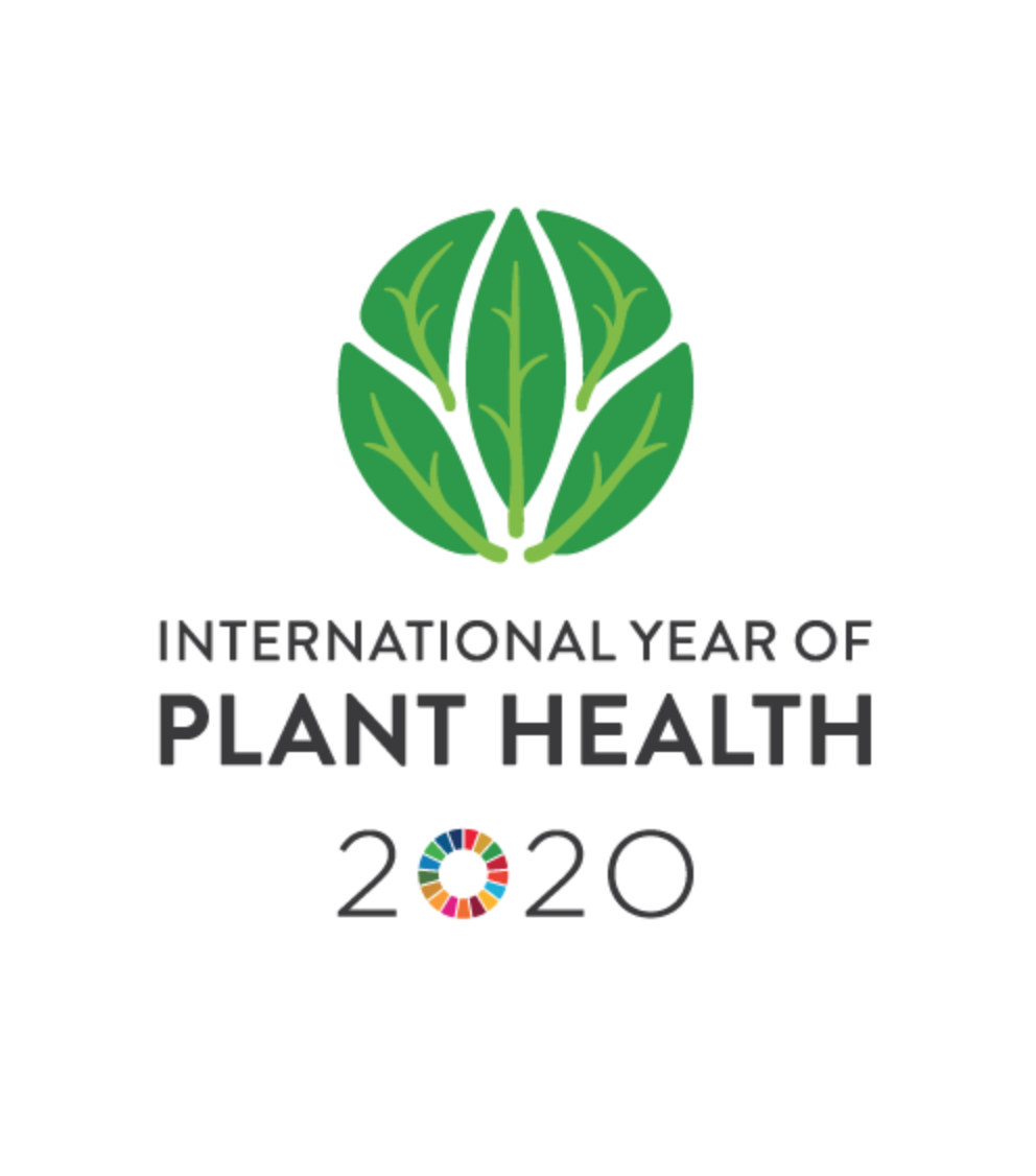 International Year of Plant Health Prime Production