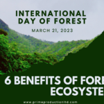 6 Benefits of Forest Ecosystems